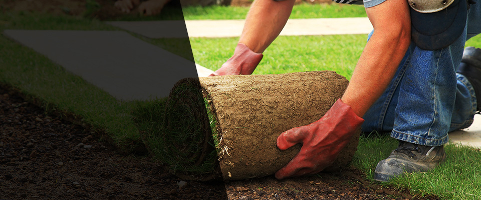 Peterborough Landscapers